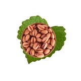Hışıroğlu Kuruyemiş 500 gr Siirt Fıstığı