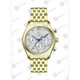 Hislon Date DT171G-01SG Erkek Kol Saati