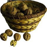 Hitit Güneşi Oğuzlar 77 Kabuklu Ceviz (5kg) - 5 kg