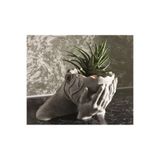 hivhestın Hüzünle Yeşeren Saksı - 20 cm Modern Tasarım! Beyaz