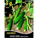 Hıyar Tohumu Salatalık Yerli - 5 g (~ Takribi 100 Tohum)