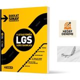 Hız Yayınları 8. Sınıf LGS Soru Bankası 9 İstasyonda Hedef Deneme Ciltsiz Kitap 2025 Basım