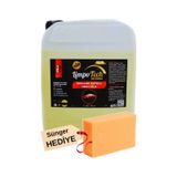 Hızlı Cila Wax Boya Koruma Islak Cila Seramik Katkılı 5 Kg Yıkama Sonrası Kullanım