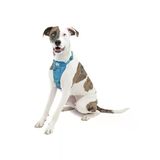 Hızlı Kilitli Köpek Koşum Takımı - Mavi, Orta Boy