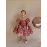 Hly Karol Tasarım Kız Bebek Elbisesi Vintage Güllü Model Doğum Günü İçin 6 Yaş - Pembe