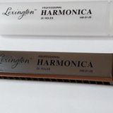 HM0120 MIZIKA 20 DELİK PROFESSIONAL HARMONICA ŞEFFAF KUTULU