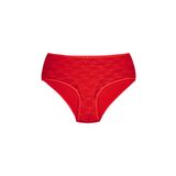 HNX UNDERWEAR Kırmızı Önü Çift Kat Astarlı Dantel Arkası Pamuklu Büyük Beden Kadın Külot Kırmızı 4XL hnxNM3117
