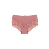 HNX UNDERWEAR Vizon Dantelli Yüksek Bel Büyük Beden Kadın Külot Vizon 6XL hnxNM2539