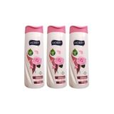 Hobby Gül Özlü Boyalı Saç 3x480 ml Şampuan