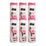 Hobby Gül Özlü Boyalı Saç 6x480 ml Şampuan