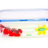 Hobby Life 800 ml Gülenyüz Saklama Kabı