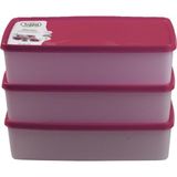 Hobby Life Alaska Nofrost Saklama Kabı 2 Litre 3'lü Fuşya
