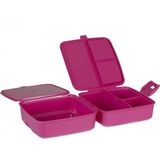 Hobby Life Premium Beslenme Kutusu Fuşa - Fuşya