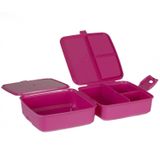 Hobby Life Premium Beslenme Kutusu Fuşya