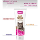 Hobi 2x100 gr Tüy Yumağı Önleyici Kedi Extra Malt Paste ikincisi 1 TL