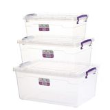 Hobi Box Yatay Saklama Kabı 3'lü Set 5,5-10-15 Lt