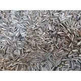 Hobi Çizgili Küçük Çekirdek 1 Kg