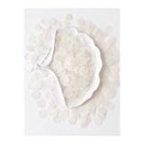 hobi dünyası evim 20 Gram 20 mm Pulsan Yarı Saydam Pürüzsüz Dokulu 1.Kalite Sedefli Güpür Takı Yazma Kumaş Bandana File Bere Çanta Kıyafet Etek Süsleme Pulu Plastik Payet Pul Boncuk -Renk : Şeffaf Beyaz