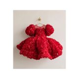 HOBİ Hobiboutique Roselyn Kız Çocuk Kabarık Gül Detaylı Doğum Günü Elbisesi Abiye