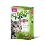 Hobi Kedi Çimi - Cat Grass (3 Kullanımlık) Doğal Buğday Tohumlu Sağlık Desteği