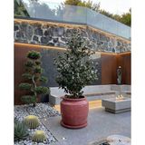 Hobi Tarım Büyük Beton Saksı 70X60CM - Kırmızı