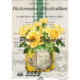 Hobi24 A3 29x42 cm 3553 Pirinç Dekupaj Kağıdı