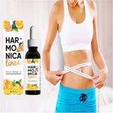 Hobibahçem Harmonica Linea 30ML Damla 2 Ad + Lipo Gel 150ML Jel 2 Ad - Belirtilmemiş