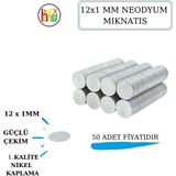 Hobiflex Neodyum Mıknatıs Nikel Kaplama 12MM X1 mm 50 Adet