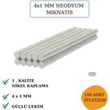 Hobiflex Neodyum Mıknatıs Nikel Kaplama 4mm X1MM (100 Adet)