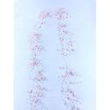 Hobigram Açık Pembe İncili Sarkıt