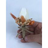 Hobigram Beyaz Laleli Turuncu Pamuk Otlu Damat Yaka Çiçeği