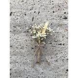 Hobigram Damat Yaka Çiçeği 8