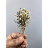 Hobigram Füme Otlu Damat Yaka Çiçeği 10 Adet