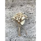 Hobigram Krem Pamuk Otlu Cipsolu Damat Yaka Çiçeği