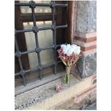 Hobigram Pembe Cipsolu Buğdaylı Islak Lale Gelin Çiçeği Ve Yaka Çiçeği