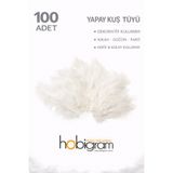 Hobigram Premium Yapay Kuş Tüyü 100 Adet Beyaz Ekonomik Paket Nikah Düğün Parti Süsleme