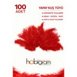 Hobigram Premium Yapay Kuş Tüyü 100 Adet Kırmızı Ekonomik Paket Nikah Düğün Parti Süsleme