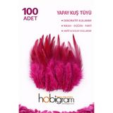 Hobigram Premium Yapay Kuş Tüyü 100 Adet Koyu Fuşya Ekonomik Paket Nikah Düğün Parti