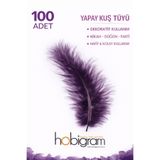 Hobigram Premium Yapay Kuş Tüyü 100 Adet Mürdüm Ekonomik Paket Nikah Düğün Parti Süsleme