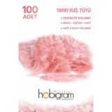 Hobigram Premium Yapay Kuş Tüyü 100 Adet Pudra Ekonomik Paket Nikah Düğün Parti Süsleme