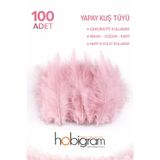 Hobigram Premium Yapay Kuş Tüyü 100 Adet Somon Ekonomik Paket Nikah Düğün Parti Süsleme