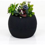 Hobilinka Mercan Saksı 2 Numara 0,35 Litre Su Hazneli Dekoratif Kaktüs Sukulent Saksı 11,8x9,2 cm - Renkli