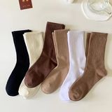 Hobins Sportswear & Company 5 Çift Kolej Çorap Bej Tonlarıyla Düz Şık Renkler & Hava Alan Esnek Doku - 36 - 40 - Ekru
