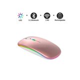 HOBİPİX Kablosuz Wireless 4 Tuşlu Rgb Işıklı Sessiz Mouse