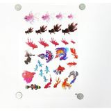 Hobizubi Reçine Epoksi Sticker - Balık 2 - Şeffaf