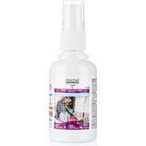 Hochei Ütüsüz Ütü Spreyi (Kırışıklık Giderici Sprey) 70 ml (Cep-Çanta Boyu)