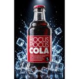 HOCUS POCUS 250ML x 24'lü Adet Cam Şişe Kola - Hocus Pokus Cola