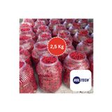 HOLTECH Gilaburu Meyvesi 2,5 kg Taze Yeni Mahsül ( Girabulu,Girebolu,Girebulu)