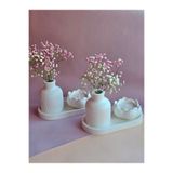 Home 2 Li Pampas Vazo Set Lotus Tealight Mumluk Şık Sunum altlığı Tv Ünitesi Mutfak Kış Bahçesi Raf Süsü