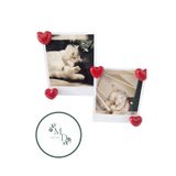 Home 5'li Kalpli Magnet Seti – Fotoğraf ve Not Tutucu, Buzdolabı Süsü, Güçlü Mıknatıs, Dekoratif Magnet